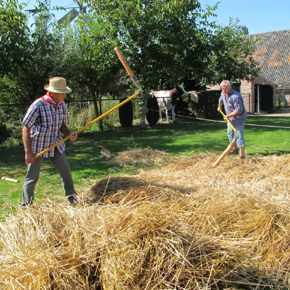 Oogstdag in de Locht in Melderslo