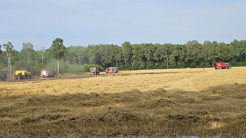 Brandweer Horst en Sevenum naar natuurbrand Grashoek