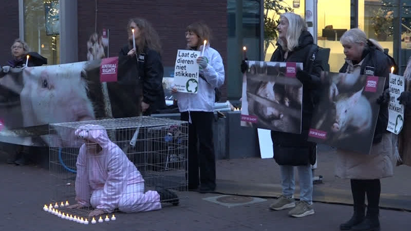 Protest in Horst voor dierenwelzijn en strengere controle varkenshouderijen