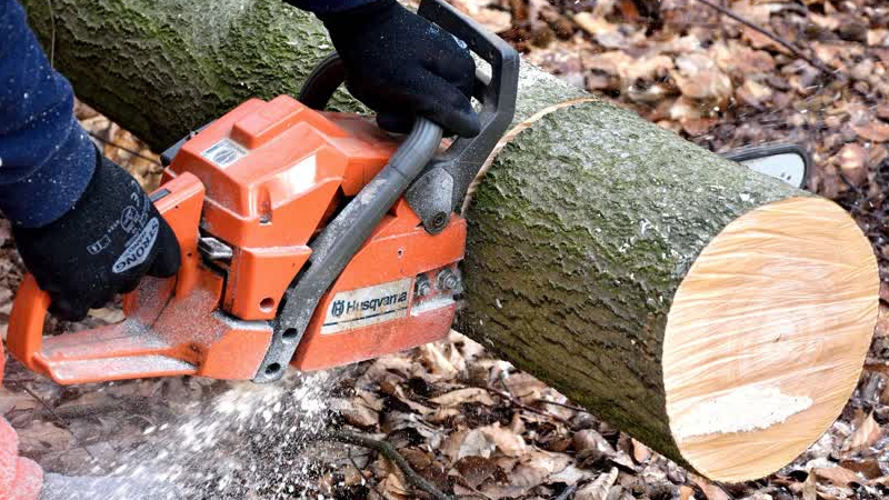 Bliksem ingeslagen in boom in Melderslo