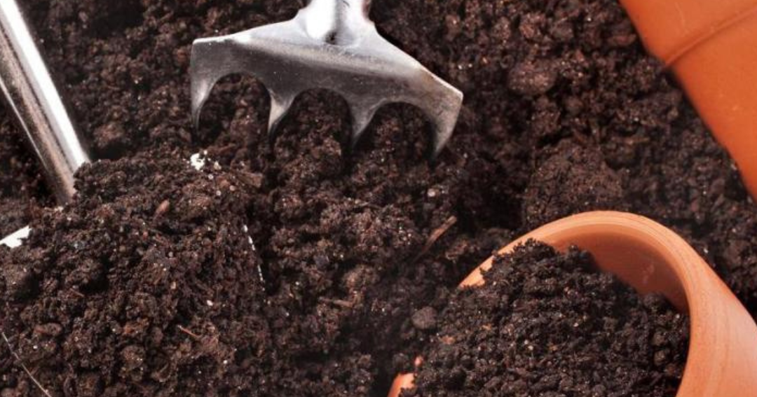 Gratis compost voor inwoners tijdens Compostdag in Grubbenvorst