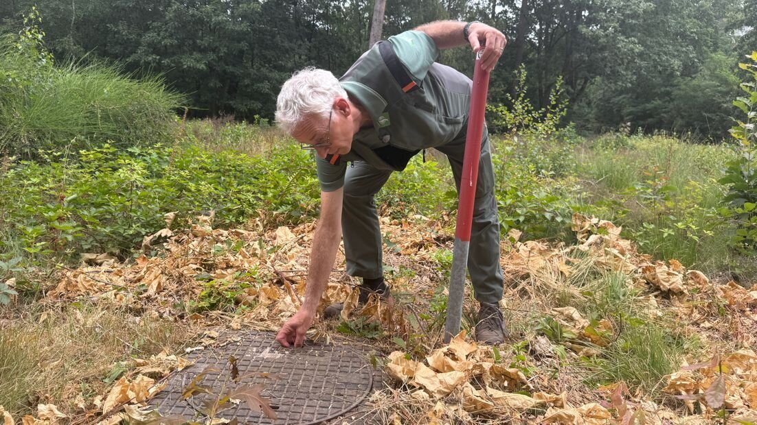 boswachter schadijkse bossen