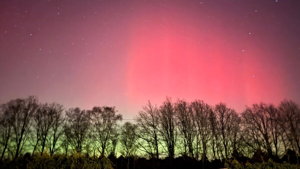 noorderlicht america 3.jpg