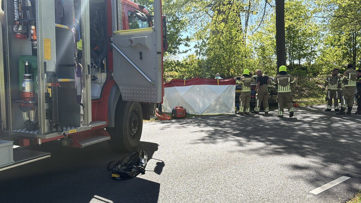 Edward-Media IMG_0914-4b1d2be6fcd7ae419df6ec7af423ba74.jpeg