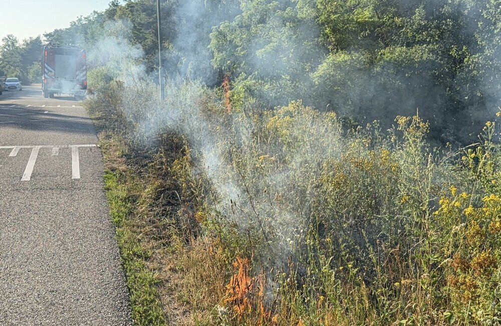 bermbrand horst