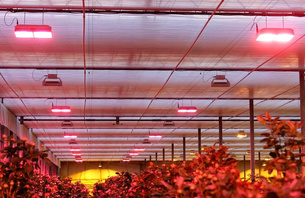 20261022-tuinbouw