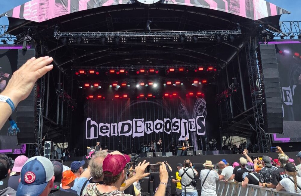 heideroosjes