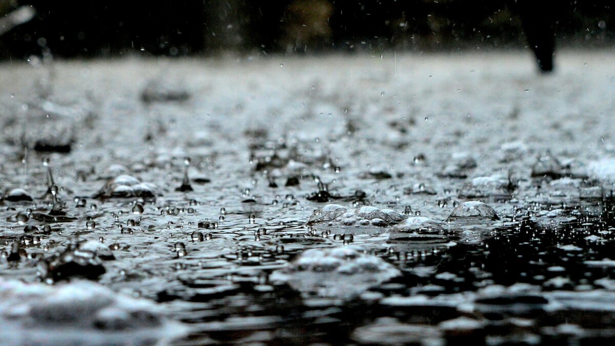 regen.jpg