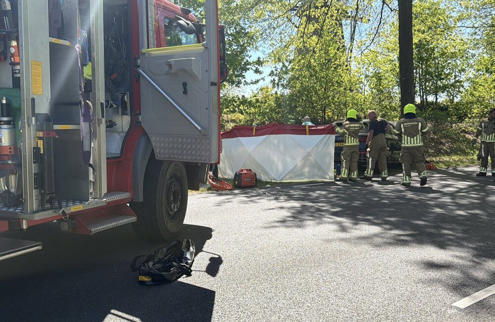 Edward-Media IMG_0914-4b1d2be6fcd7ae419df6ec7af423ba74.jpeg