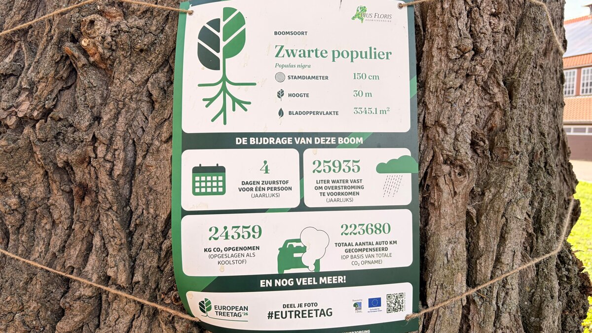 tree tag