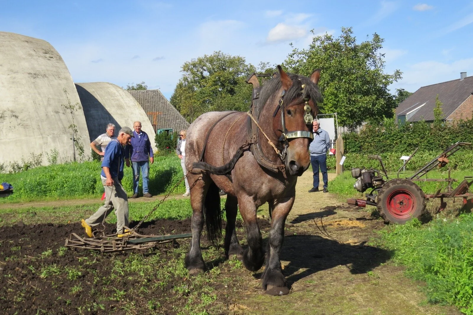 Afbeelding bij Aardappeldag bij Museumdorp de Locht
