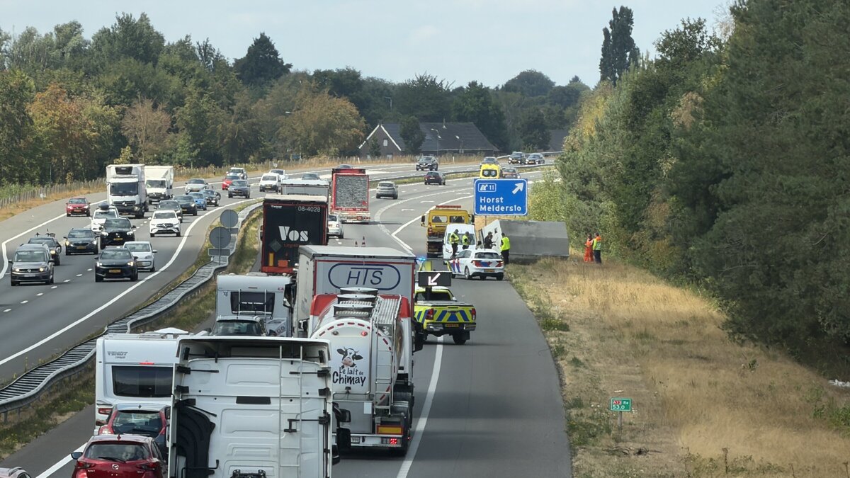 file a73 schaar