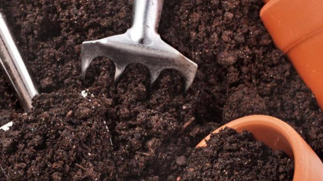 Compost