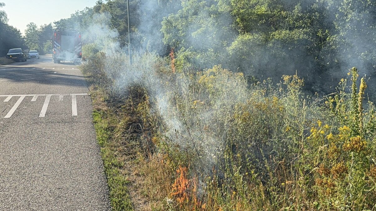 bermbrand horst