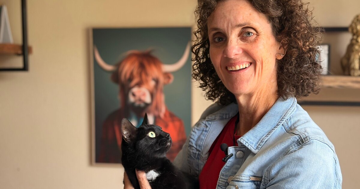 Bizarre kattenwissel in Grubbenvorst: 'Dode' Henkie zit gewoon thuis op de trap