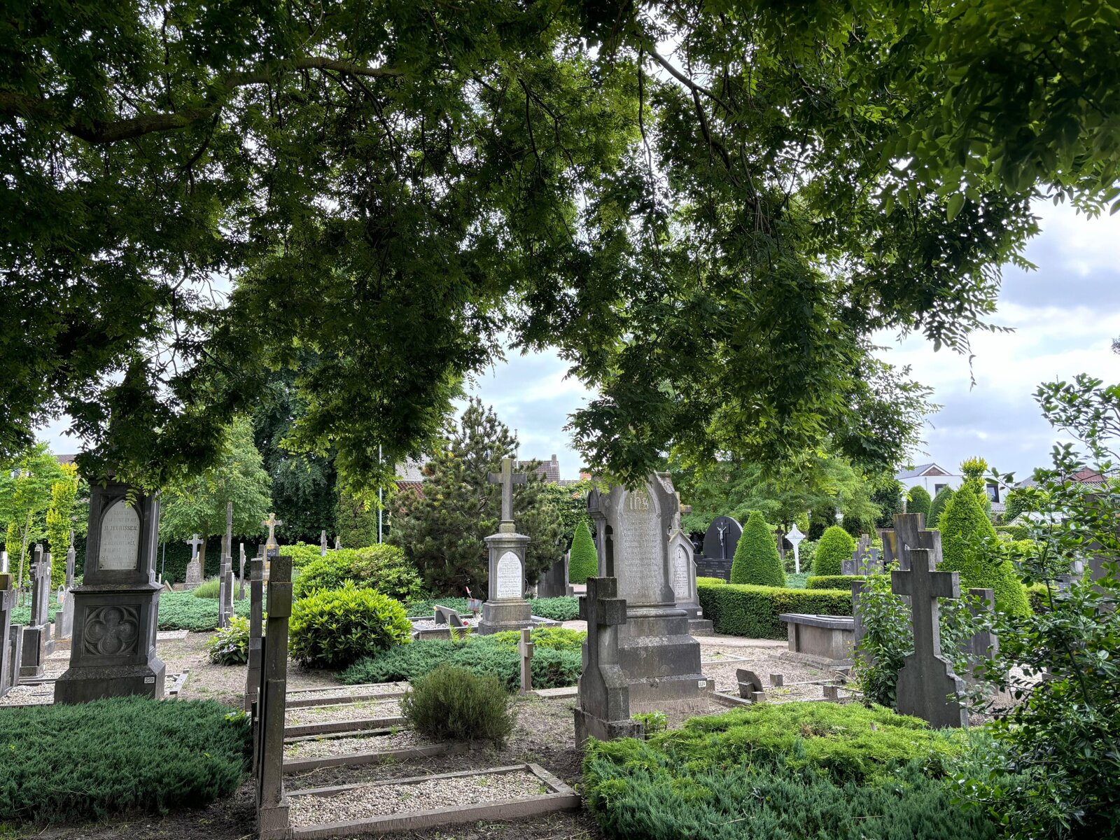 Oud Kerkhof Horst_20260723
