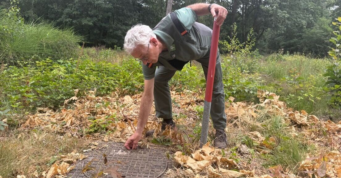 Zo maken brandweer en Staatsbosbeheer de Schadijkse Bossen brandveiliger