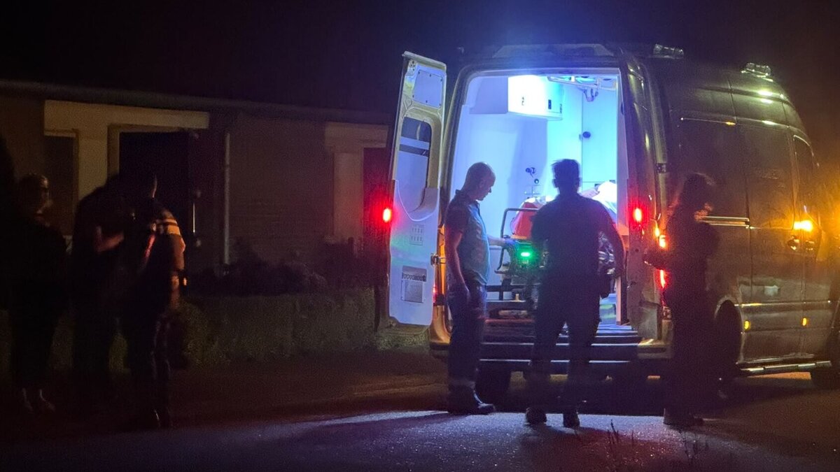 Ambu vechtpartij America