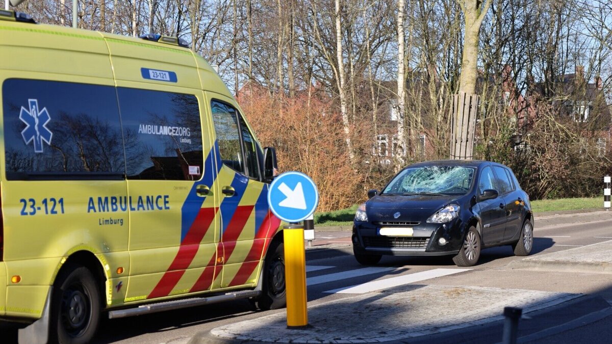 auto fiets horst.jpeg