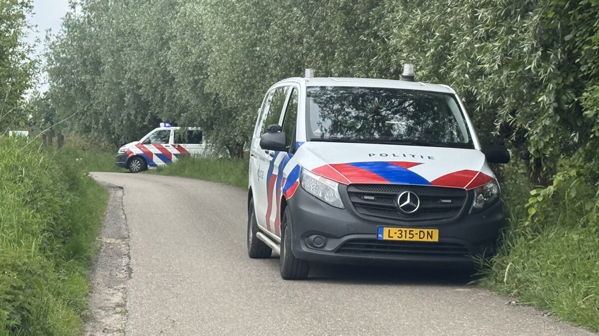 paard sevenum.jpeg