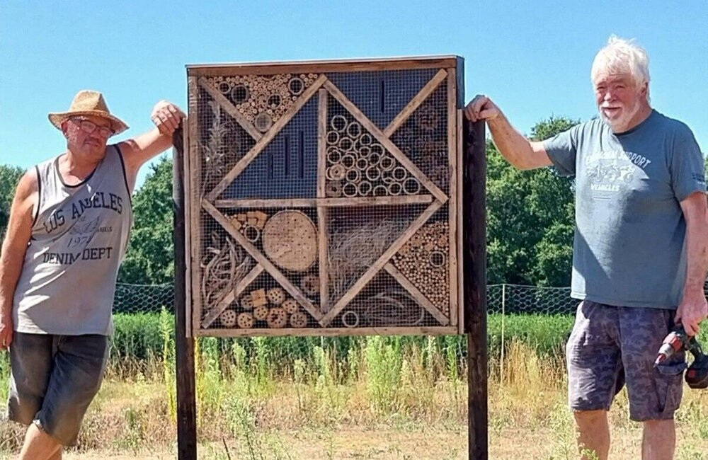 Insectenhotel Swolgen 1