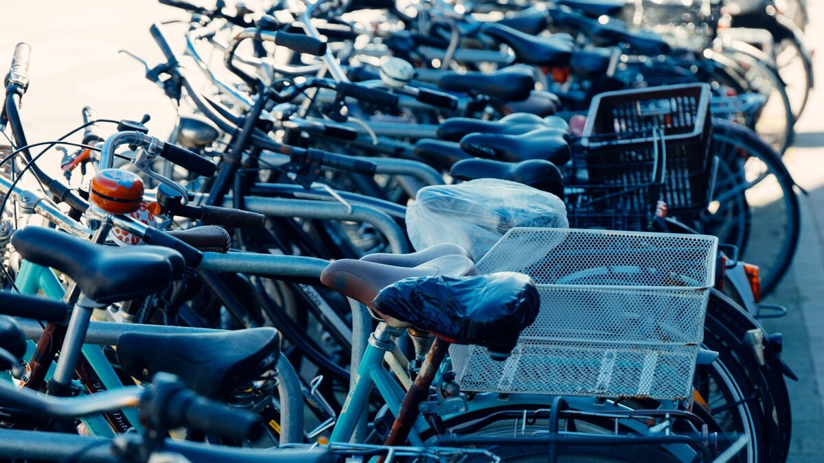 fietseenstalling horst
