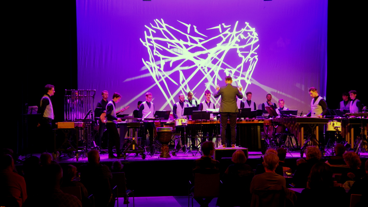 Percussie Palooza.JPG