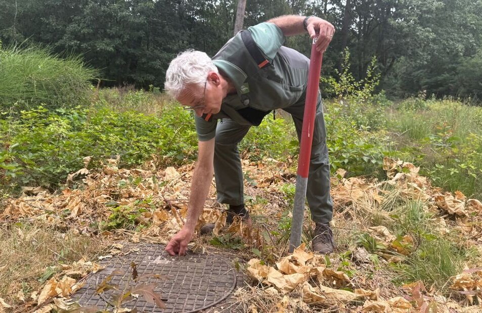 boswachter schadijkse bossen