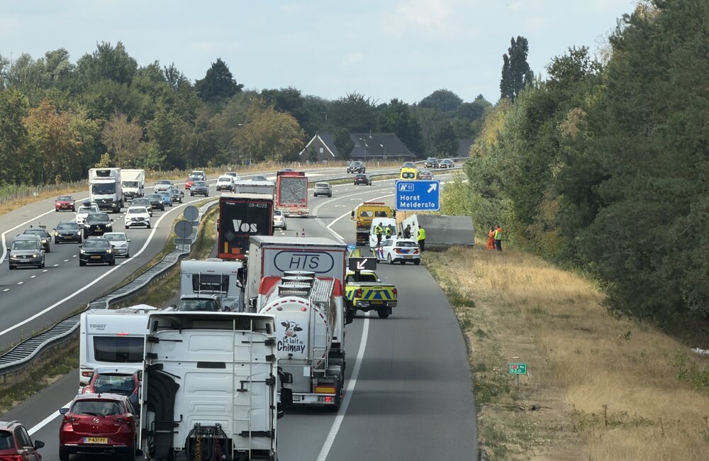 file a73 schaar