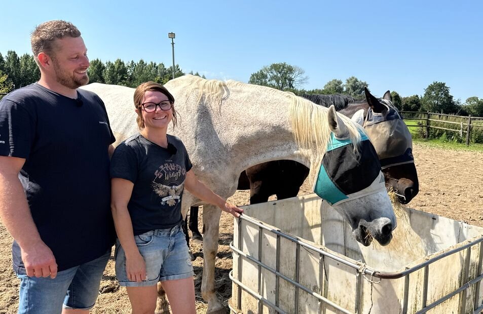 rusthuis voor paarden meerlo