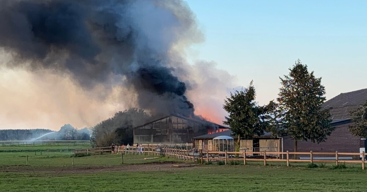 Grote brand op Donkstraat in Swolgen, brand woedt vermoedelijk bij paardenhandelaar