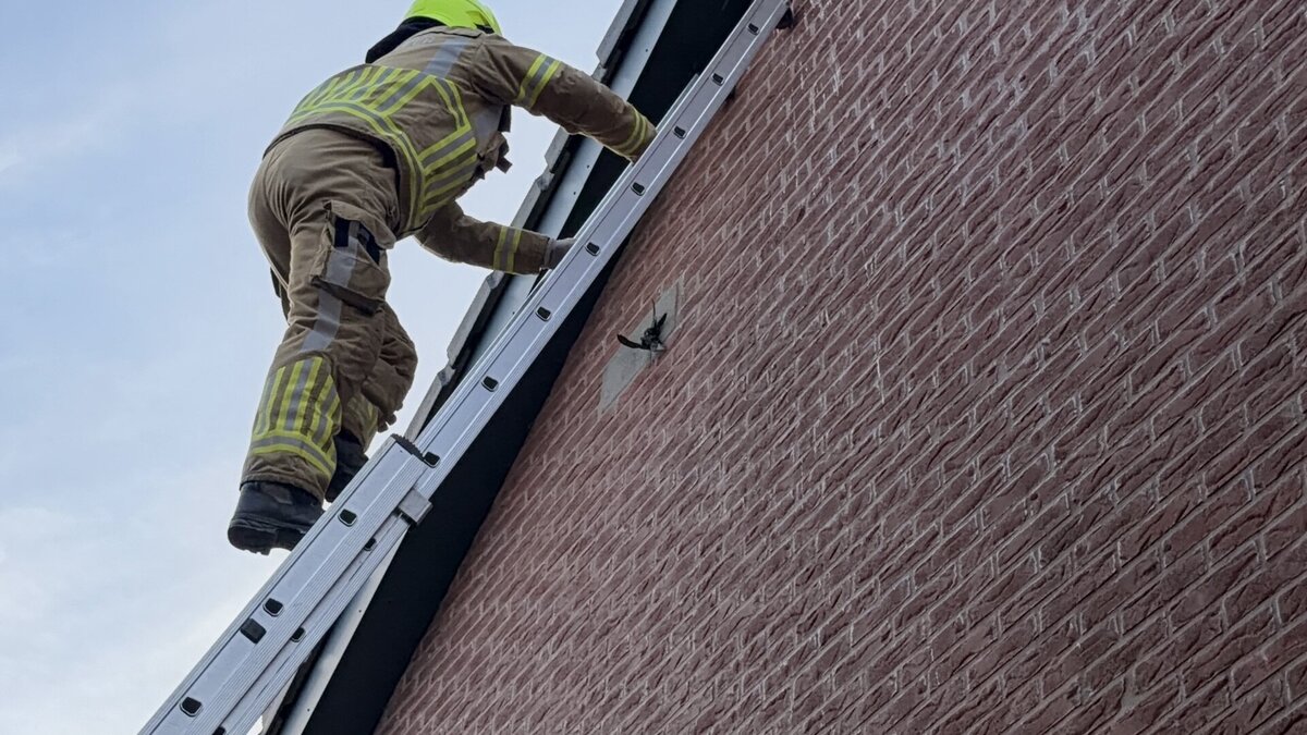 brandweer zwaluw in actie