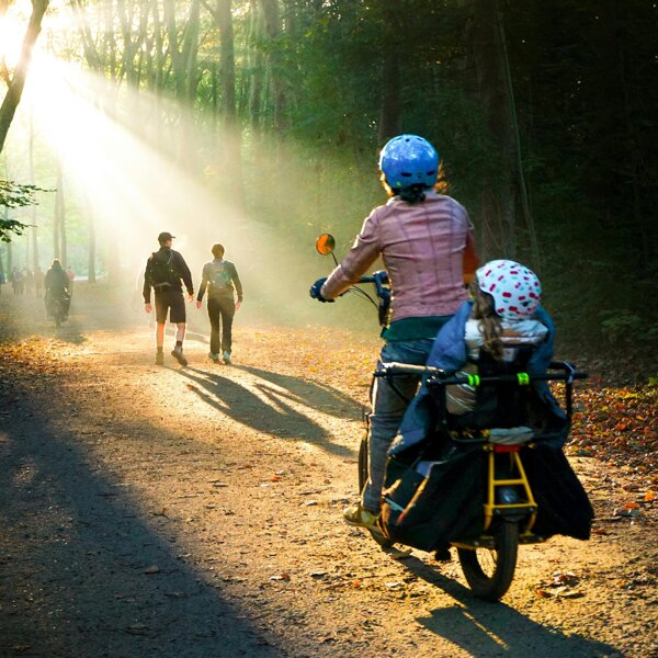 Fietsen bos
