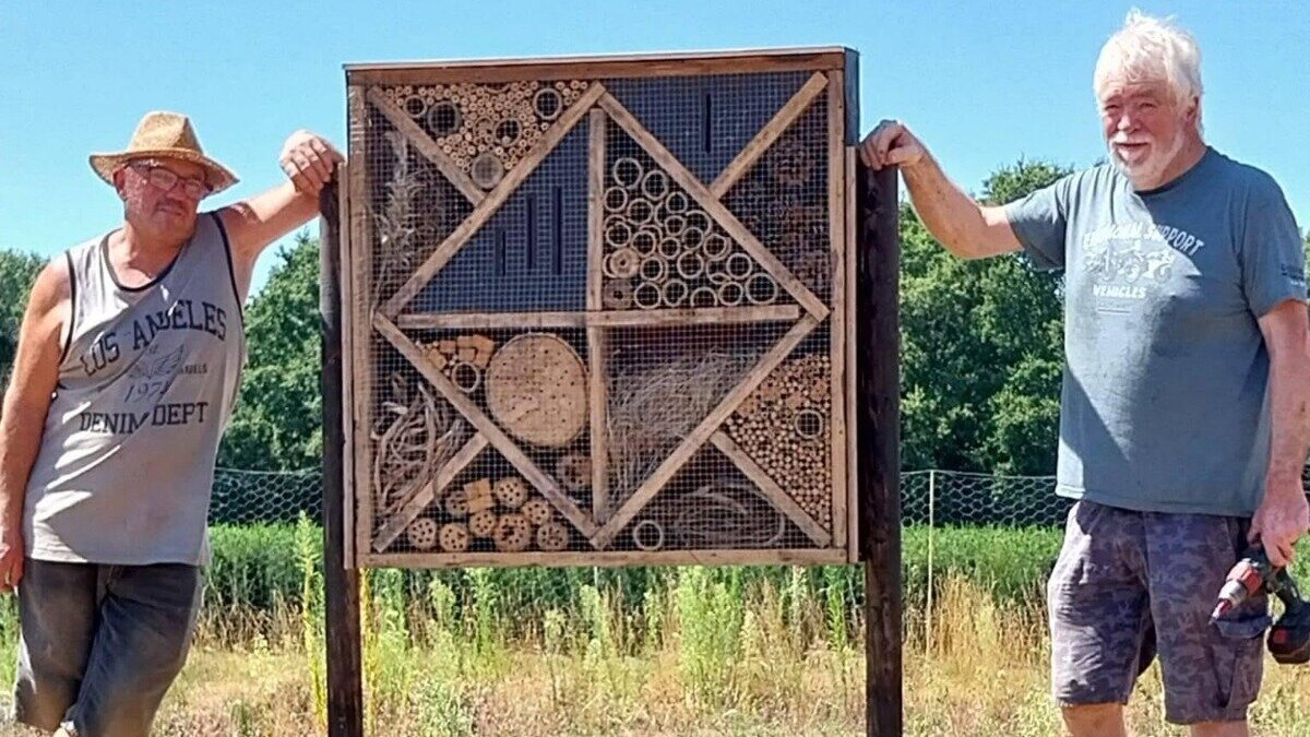 Insectenhotel Swolgen 1