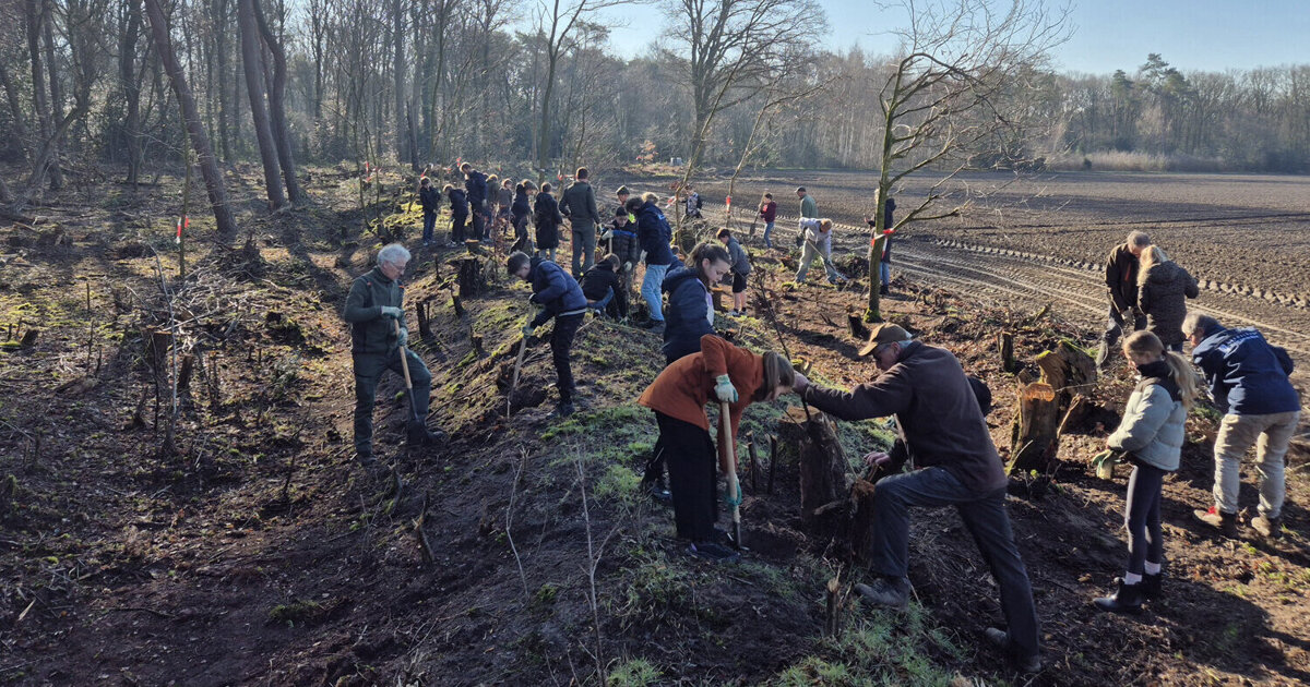 Meer dan 500 jonge bomen geplant door leerlingen in Schadijkse bossen