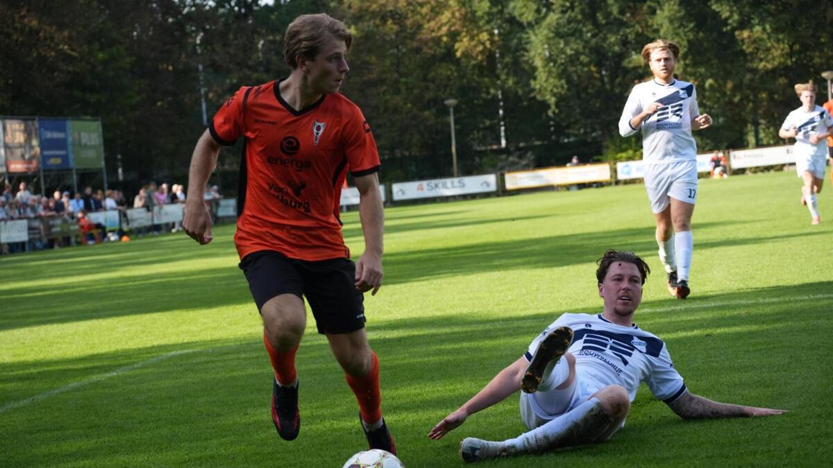 wittenhorst mierlo hout