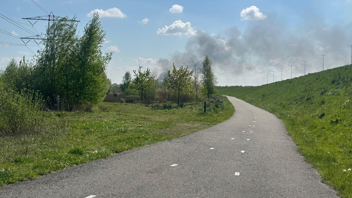 WhatsApp Image 2026-04-21 at 14.40.22.jpeg