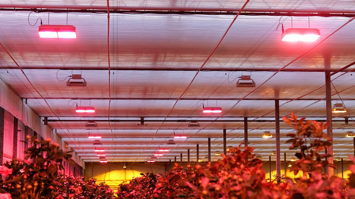 20261022-tuinbouw