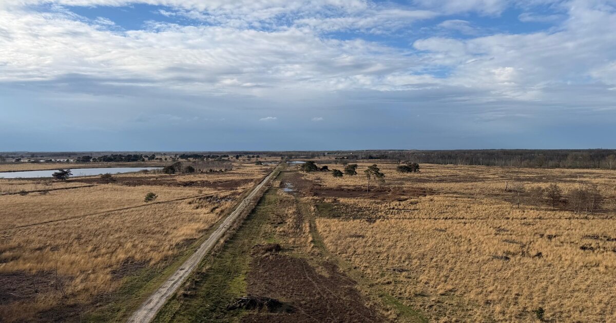 Nationaal Park De Groote Peel krijgt nieuwe naam: voortaan ‘De Peel’