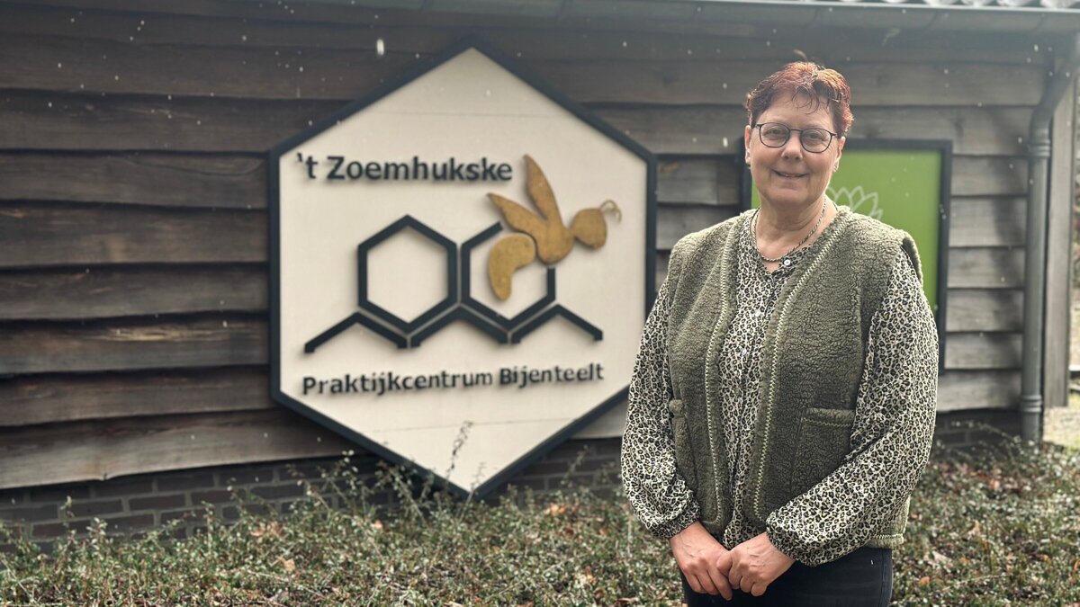 bertha van de brink, wesp.jpeg