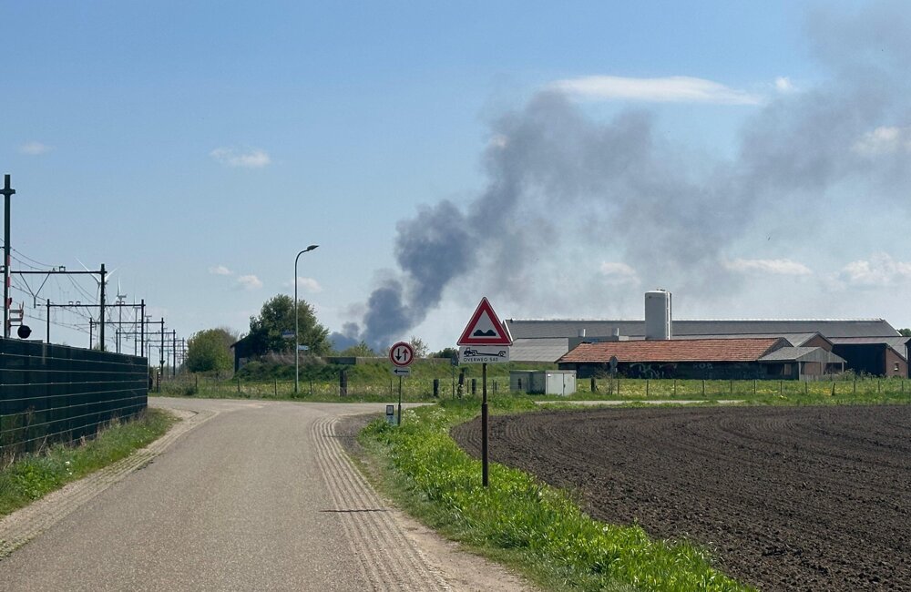 WhatsApp Image 2026-04-21 at 14.24.45.jpeg