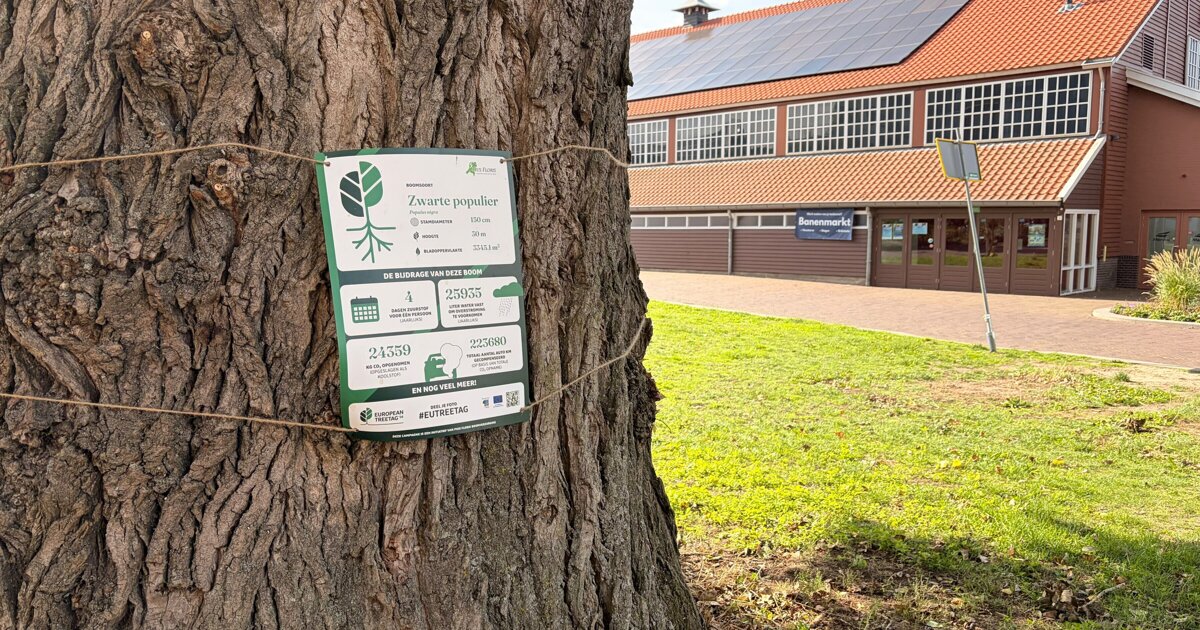 Vijf bomen in Horst aan de Maas hebben TreeTag gekregen