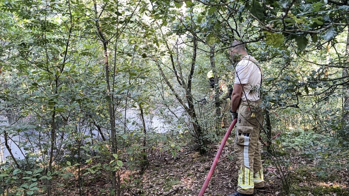 bosbrand melderslo
