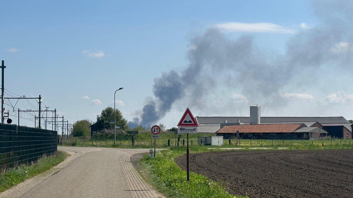 WhatsApp Image 2026-04-21 at 14.24.45.jpeg