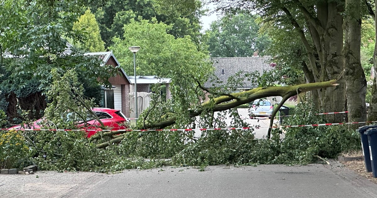 Auto in America beschadigd door afgebroken stuk boom