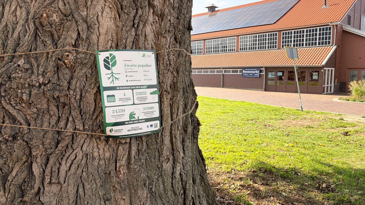 tree tag