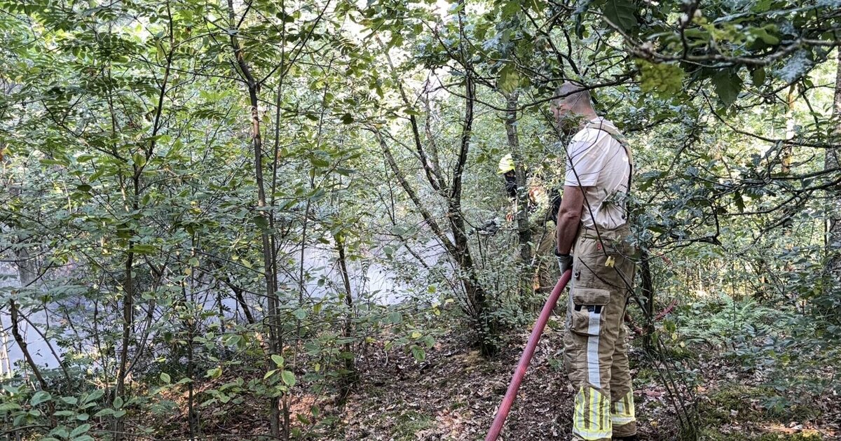 Brandweer blust vuur in Schadijkse Bossen, vuur ontdekt door wandelaar