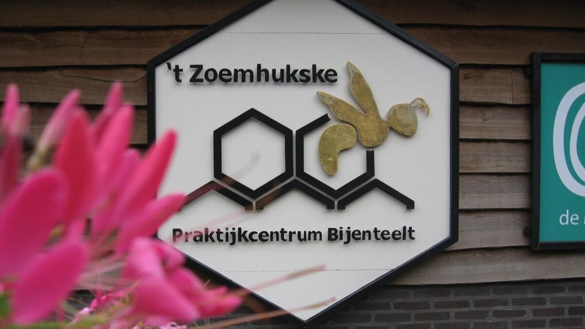 Zoemhukske