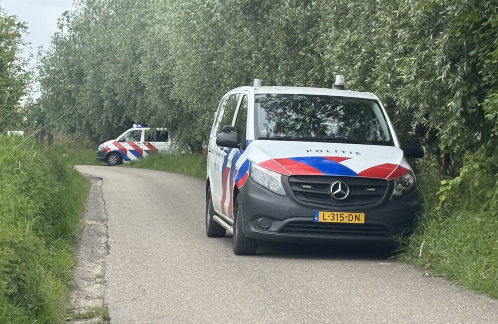 paard sevenum.jpeg