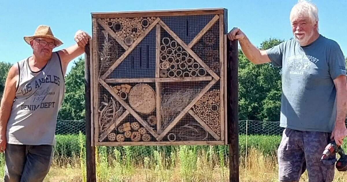 Drie insectenhotels geplaatst in Swolgen